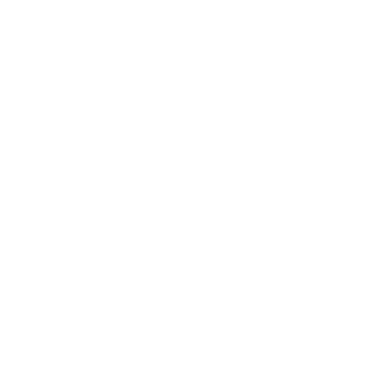 EGI White Logo