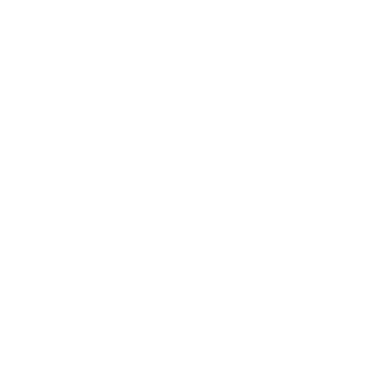 Magstim White Logo